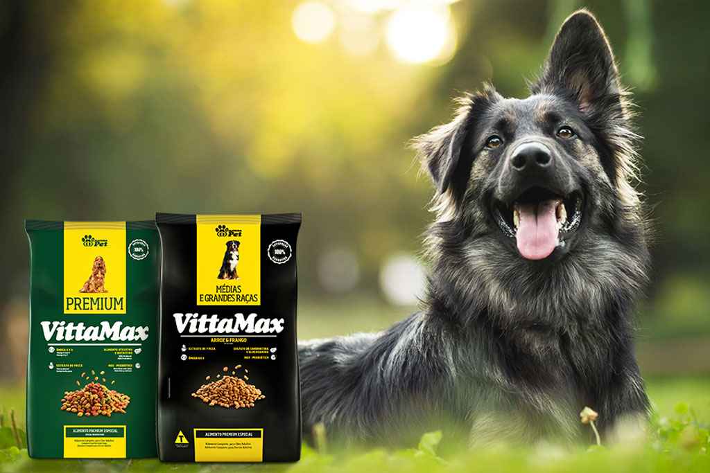 cachorro deitado na grama e produtos da Matsuda Pet