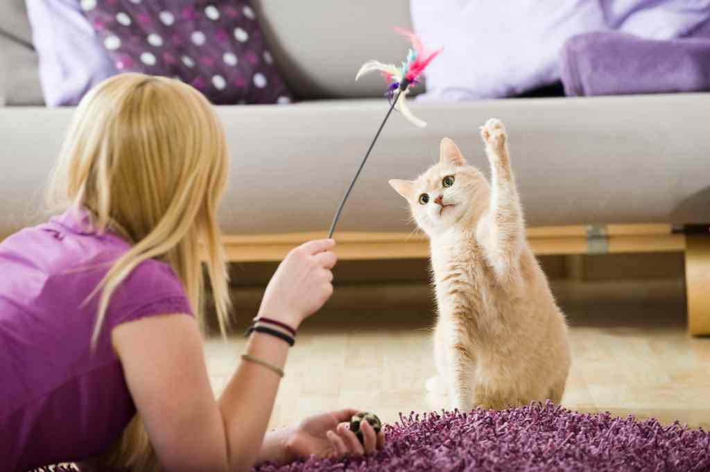 menina loira brincando com gato no chão
