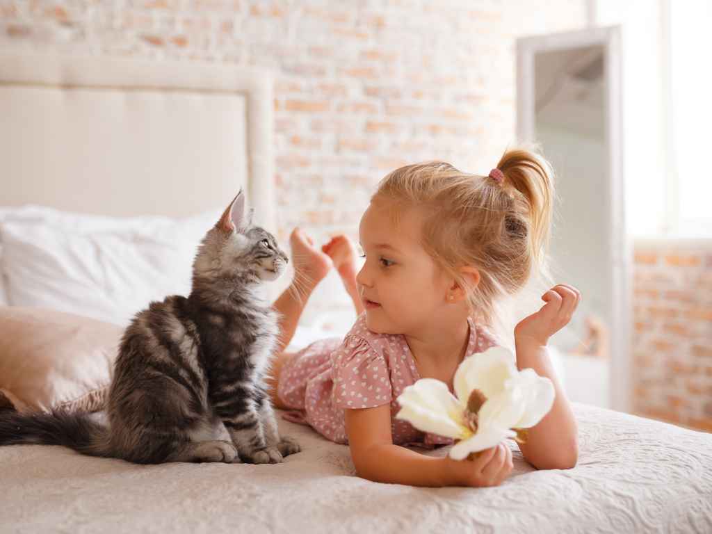 criança deitada na cama com um gato