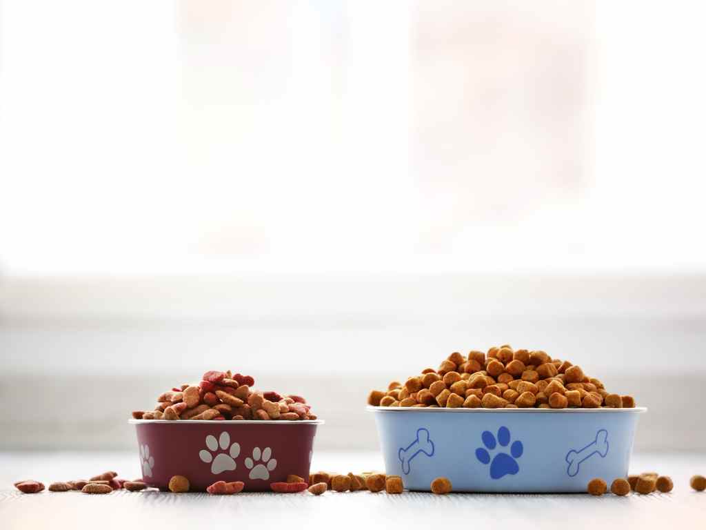 foto de dois potes de ração