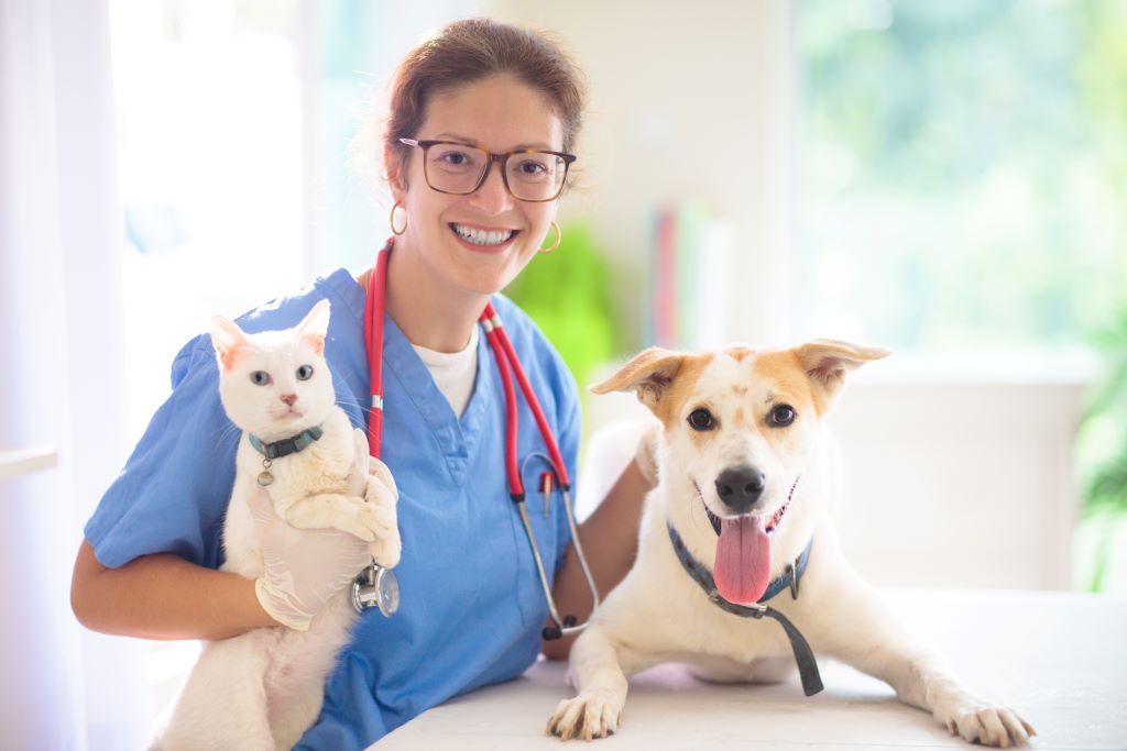 Na foto uma veterinária de jaleco azul, segurando um gato no colo e ao seu lado em cima de uma mesa está um cachorro também branco com a lingua para fora. A veterinária tem em volta de seu pescoço um Estetoscópio.