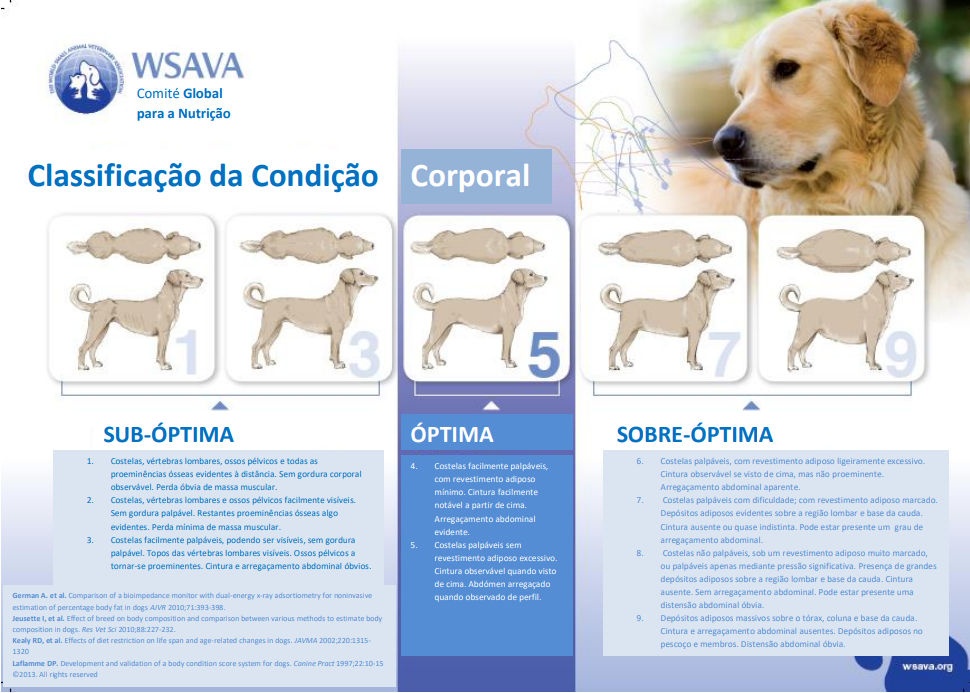 Fornecido pela World Small Animal Veterinary Association (WSAVA). Disponível no site do Kit de Ferramentas Nutricionais do Comitê Global de Nutrição da WSAVA: http://www.wsava.org/nutrition-toolkit. Acesso em 06 de junho de 2025. Copyright da Tufts University, 2014.